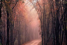 2024年巴黎奥运会有哪些值得关注的亮点和变化？